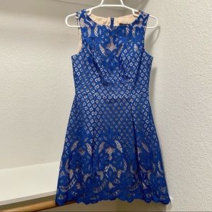 Adrianna Papell BLUE Giselle Lace Fit and Flare Dress Sz 4